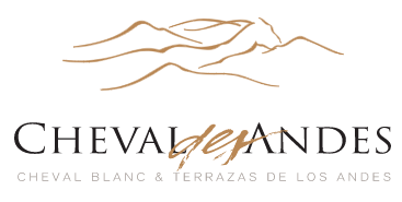 Cheval Des Andes