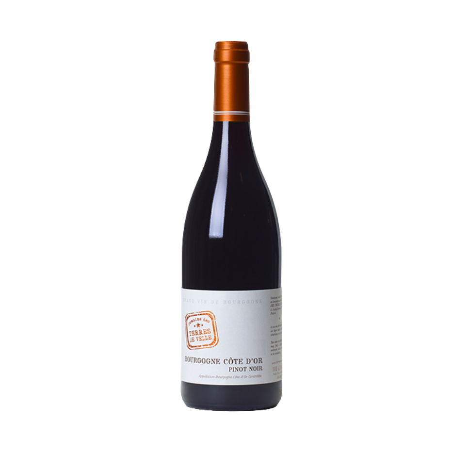 Bourgogne Côte d'Or Pinot Noir 2017 (12x750ml)