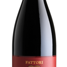 Fattori Valpolicella Ripasso DOC Col de la Bastia 2019 (6 Bottles)