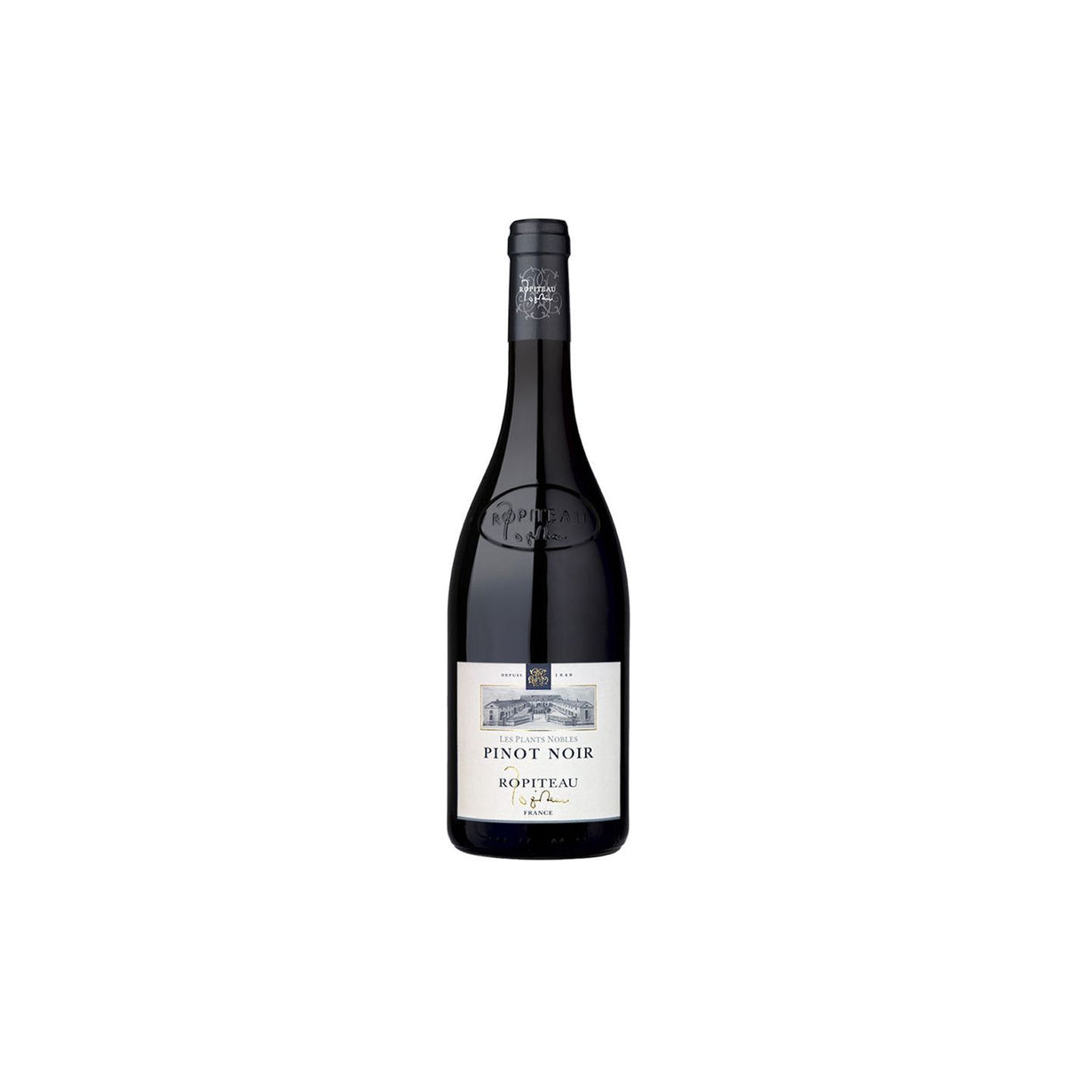 Ropiteau Freres Le Plants Nobles Pinot Noir 2021 (12 Bottles)