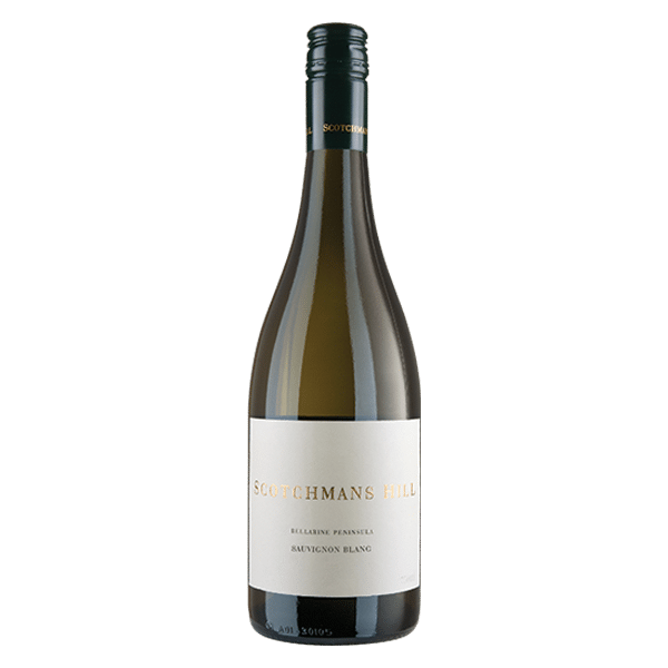 Scotchman's Hill Sauvignon Blanc 2023 (12 Bottles)