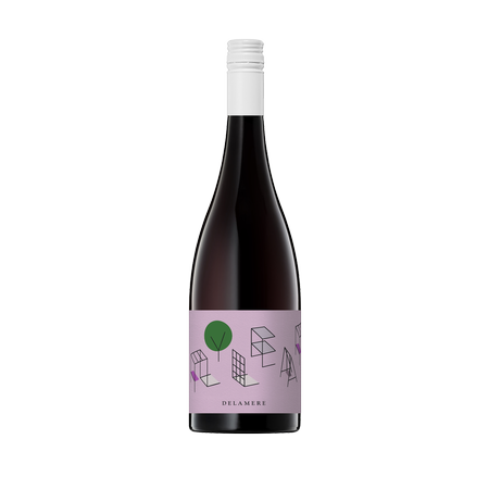 Delamere Flyleaf Pinot Noir 2022 (12 Bottles)